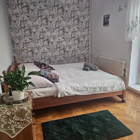Guest house Goscinne U Andrzeja 3*